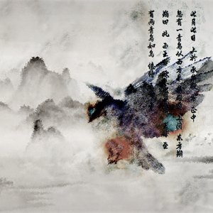 张紫妍的10部必看电影
