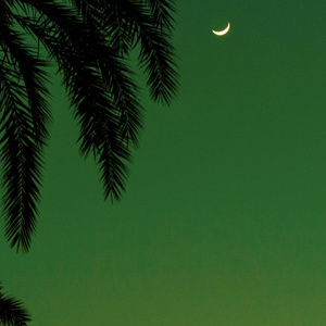 张紫妍的10部必看电影
