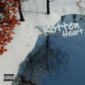 张紫妍的10部必看电影
