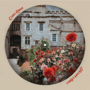 张紫妍的10部必看电影
